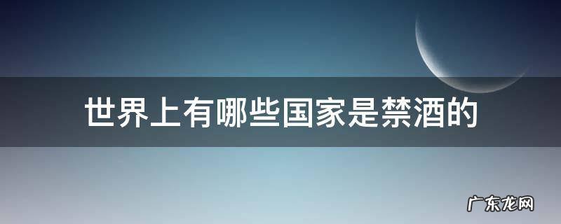 世界上有哪些国家是禁酒的 禁止喝酒的国家