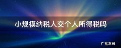 小规模纳税人交个人所得税吗 小规模要缴纳个人所得税吗