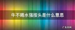 牛不喝水强按头是什么意思 牛不喝水强按头是什么生肖