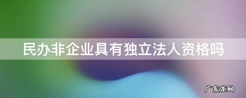 民办非企业是否具有独立法人资格 民办非企业具有独立法人资格吗