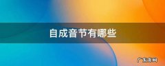 自成音节有哪些 自成音节有哪些字母