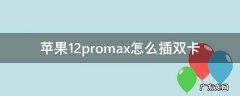苹果12promax怎么插双卡 苹果12promax怎么使用双卡