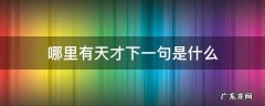 哪里有天才下一句是什么 哪里有天才这句话的意思是什么