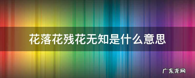 花开花落花残花无知 花落花残花无知是什么意思