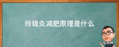 玲珑灸成分 玲珑灸减肥原理是什么