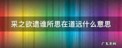 采之欲遗谁所思在道远什么意思 采之欲遗谁翻译