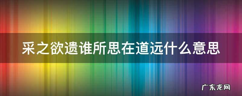 采之欲遗谁所思在道远什么意思 采之欲遗谁翻译