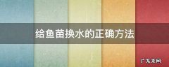 刚出生的鱼苗怎么换水 给鱼苗换水的正确方法