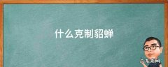 什么英雄克制貂蝉1v1 什么克制貂蝉