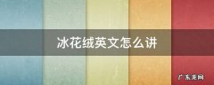 英文歌曲雪绒花 冰花绒英文怎么讲