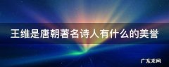 王维是唐朝著名的诗人有什么的美誉 王维是唐朝著名诗人有什么的美誉