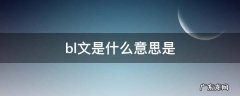 BL文是什么 bl文是什么意思是