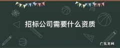 招标公司需要什么资质 工程招标需要什么资质