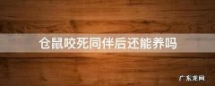 仓鼠咬死同伴后还能养吗 仓鼠放在一起养会咬死对方吗