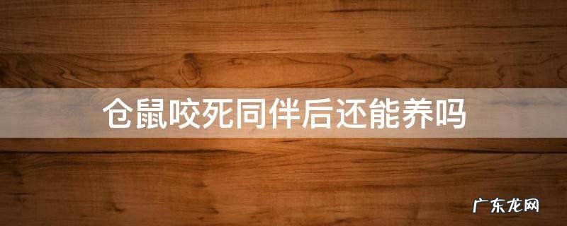 仓鼠咬死同伴后还能养吗 仓鼠放在一起养会咬死对方吗