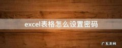excel表格怎么设置密码保护 excel表格怎么设置密码
