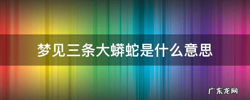 梦见三条大蟒蛇是什么意思不咬人 梦见三条大蟒蛇是什么意思