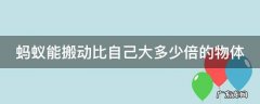 蚂蚁能搬动比自己大多少倍的物体是什么谚语 蚂蚁能搬动比自己大多少倍的物体