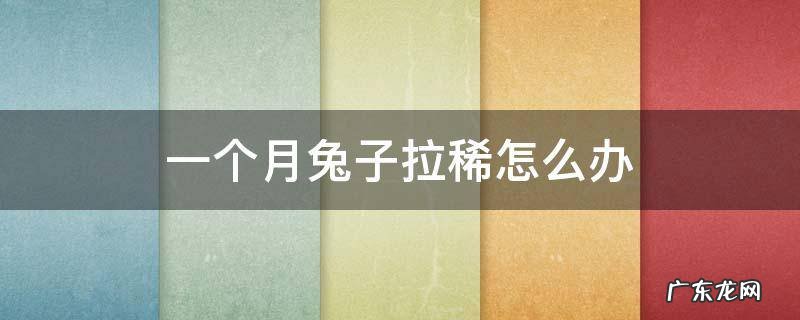 一个多月的兔子拉稀了会自己好吗 一个月兔子拉稀怎么办