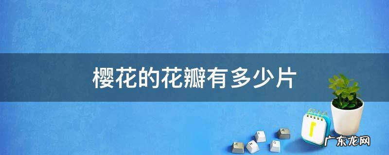 樱花一般有多少片花瓣 樱花的花瓣有多少片