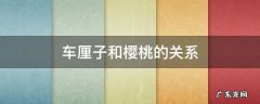 车厘子和樱桃的关系知乎 车厘子和樱桃的关系