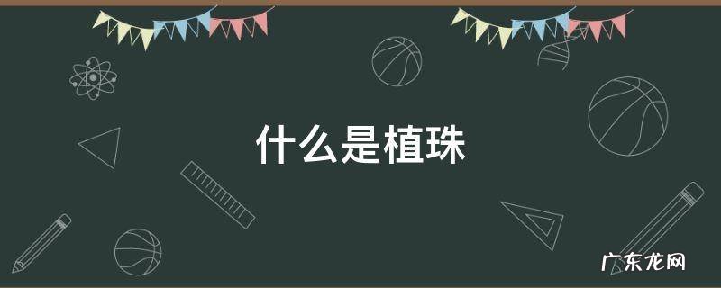 什么是植珠术 什么是植珠