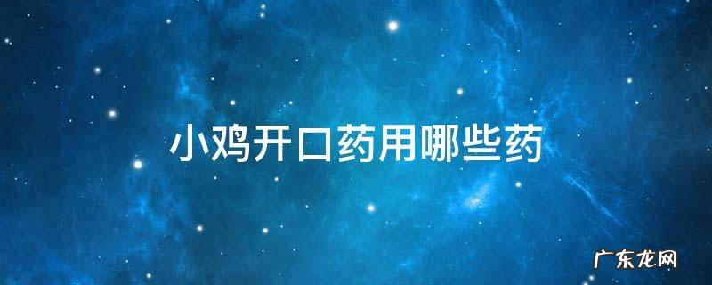 小鸡的开口药 小鸡开口药用哪些药