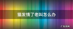 猫发情了老叫怎么办