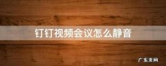 钉钉视频会议怎么静音 钉钉视频会议怎么静音自己