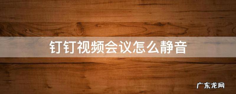 钉钉视频会议怎么静音 钉钉视频会议怎么静音自己