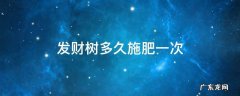 发财树多久施肥一次 发财树多长时间施肥一次