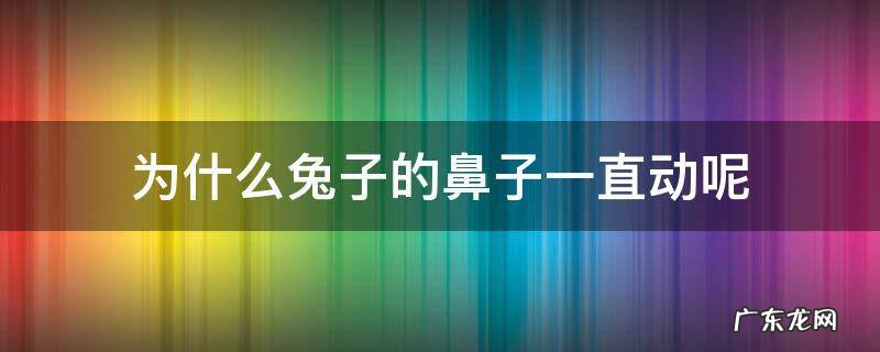 为什么兔子的鼻子一直不停的动 为什么兔子的鼻子一直动呢