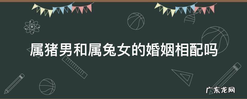 属猪男与属兔女婚配好不好 属猪男和属兔女的婚姻相配吗