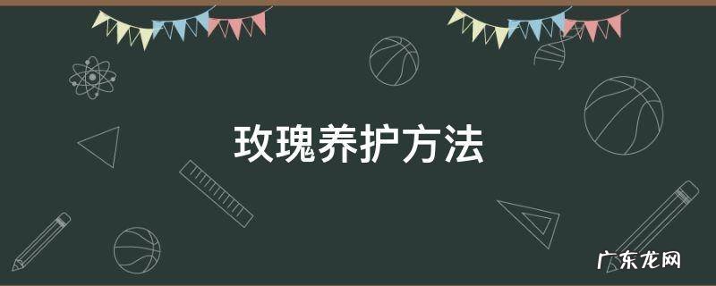 多头玫瑰养护方法 玫瑰养护方法