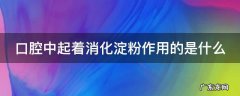 口腔中起着消化淀粉作用的是什么 口腔中起着消化淀粉作用的是什么部位