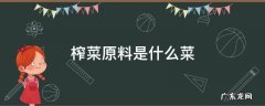 榨菜原料是什么菜,种植时间及效益 榨菜原料是什么菜