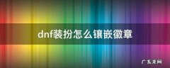 dnf什么装扮可以镶嵌徽章 dnf装扮怎么镶嵌徽章