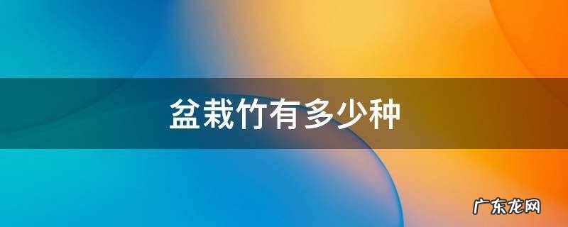 植物什么竹?盆栽的 盆栽竹有多少种