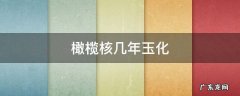 橄榄核几年玉化 橄榄核玩几年才能玉化