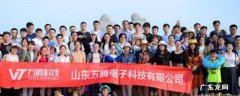 山东万腾电子年销售额多少 山东万腾电子年销售额