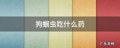 狗蛔虫吃什么药 狗狗有蛔虫吃什么药最好