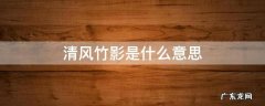 清风竹影是什么意思 竹风清影的意思