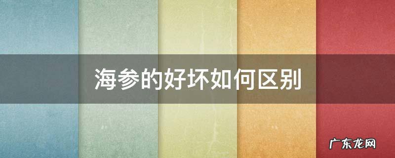海参的好坏如何区别 海参如何区分好坏