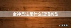 色彩缤纷是什么短语类型 全神贯注是什么短语类型