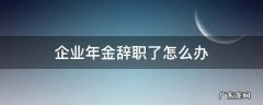 企业年金辞职了怎么办 如果辞职了,企业年金怎么办