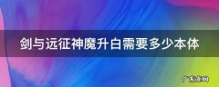 剑与远征神魔变白需要多少个人 剑与远征神魔升白需要多少本体