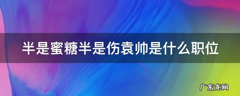 半是蜜糖半是伤袁帅是什么职位 半是蜜糖半是伤袁帅最后是什么职位