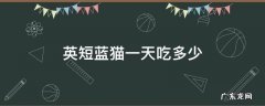 英短蓝猫一天吃多少 英短蓝猫一天吃多少合适