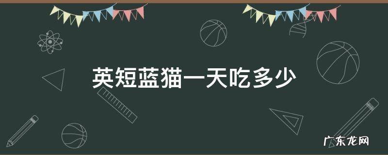 英短蓝猫一天吃多少 英短蓝猫一天吃多少合适