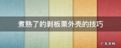 煮熟了的剥板栗外壳的技巧 剥炒板栗外壳的技巧